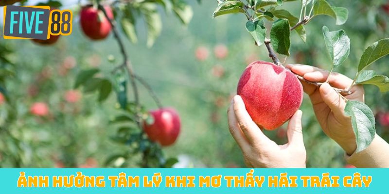 Ảnh hưởng tâm lý khi mơ thấy hái trái cây