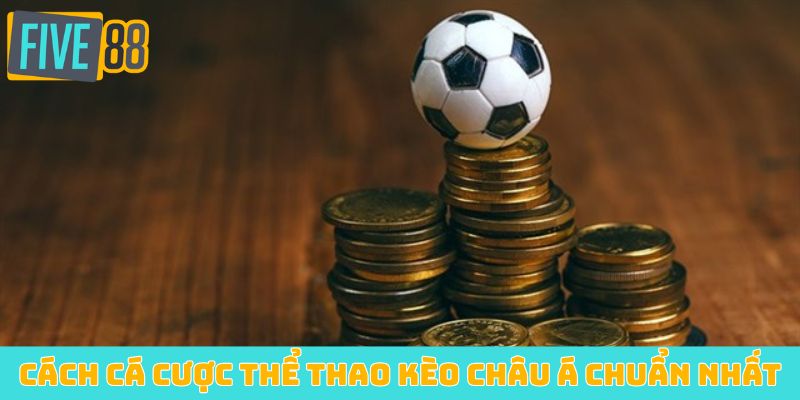 Cách cá cược thể thao kèo Châu Á chuẩn nhất