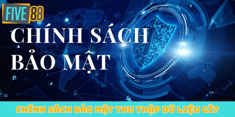 Chính sách bảo mật thu thập dữ liệu gì?