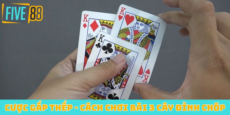 Cược gấp thếp - Cách chơi bài 3 cây đỉnh chóp