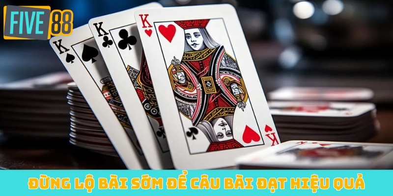 Đừng lộ bài sớm để câu bài đạt hiệu quả