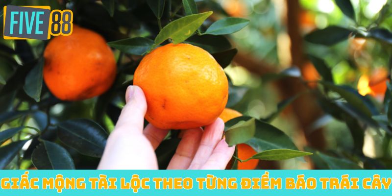 Giấc mộng tài lộc theo từng điềm báo trái cây