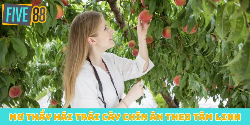 Mơ thấy hái trái cây chín ăn theo tâm linh