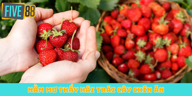 Nằm mơ thấy hái trái cây chín ăn