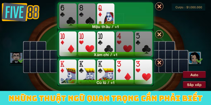 Những thuật ngữ quan trọng bạn cần phải biết