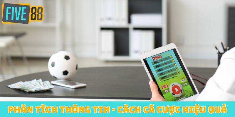 Phân tích thông tin - Cách cá cược hiệu quả