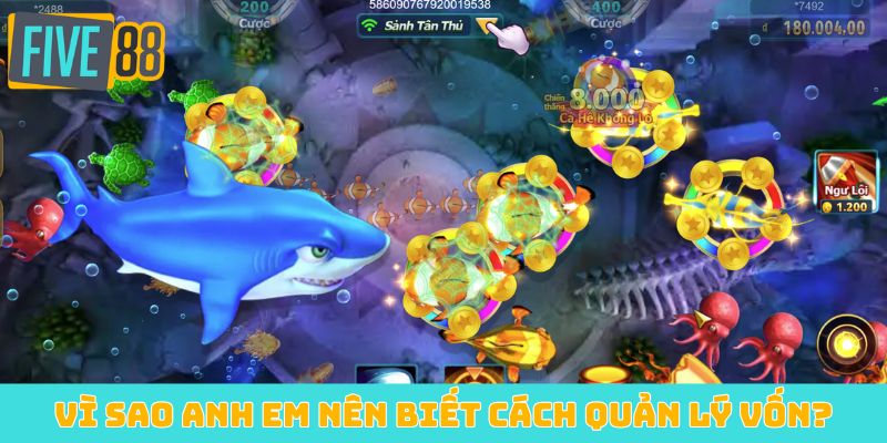 Vì sao anh em nên biết cách quản lý vốn?